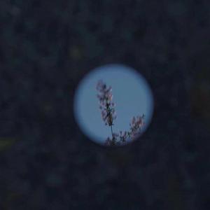 护士长双乳被揉的又大又硬
